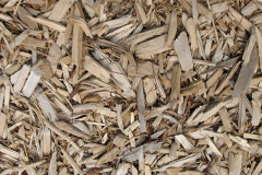biomass boilers Stubwood